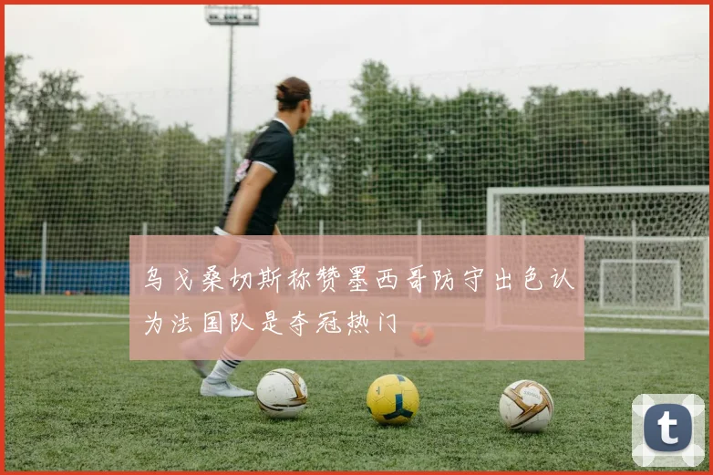 乌戈桑切斯称赞墨西哥防守出色认为法国队是夺冠热门
