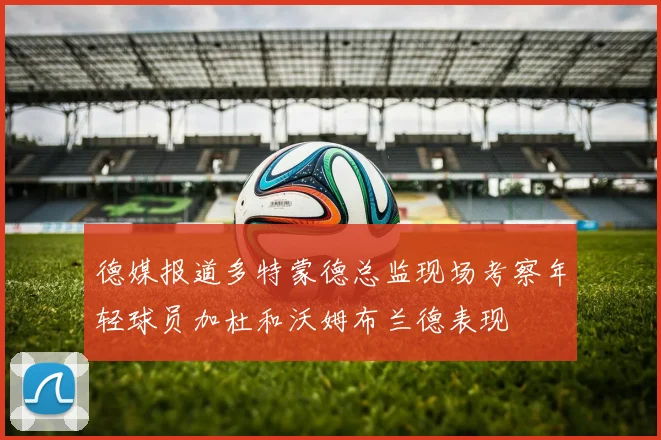 德媒报道多特蒙德总监现场考察年轻球员加杜和沃姆布兰德表现