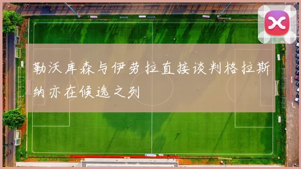 勒沃库森与伊劳拉直接谈判格拉斯纳亦在候选之列