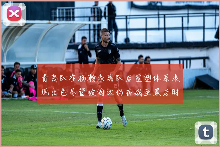 青岛队在杨瀚森离队后重塑体系表现出色尽管被淘汰仍奋战至最后时刻